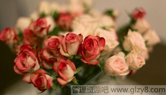 ʹḻʹʹ