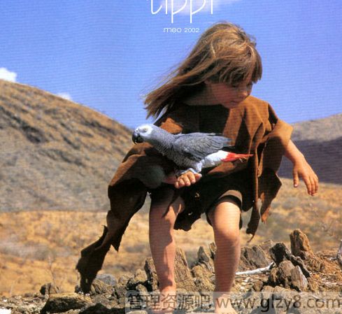 Tippi¼