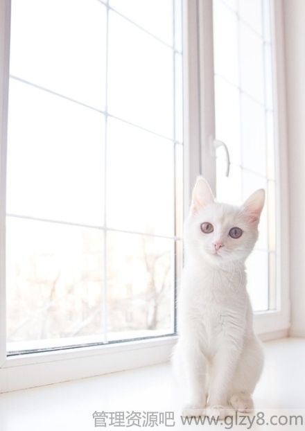 ˮ˹