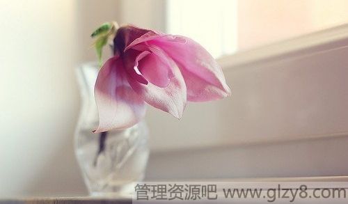 ҪĲ࣬