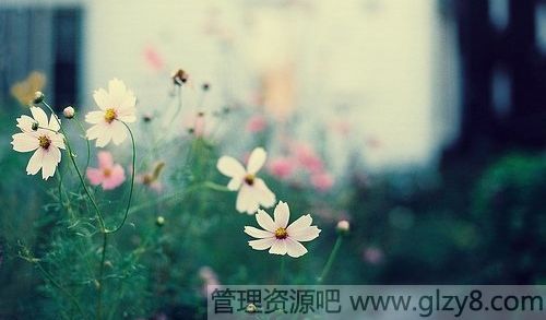 ҪĲ࣬