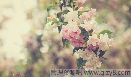 ҪĲ࣬