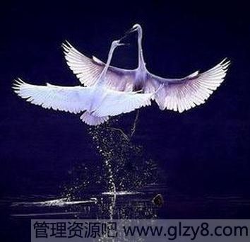 ûз˥ϵˣֻпϰ벻ȥ