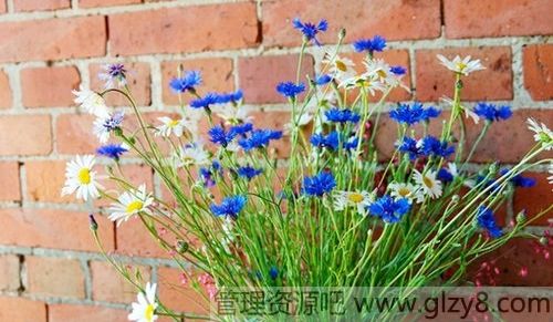 Ҹǵ룬