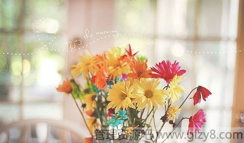 Ҹǵ룬