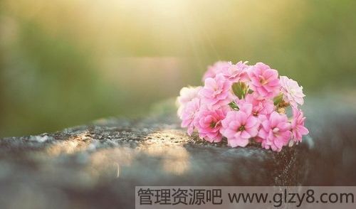 Ҹǵ룬