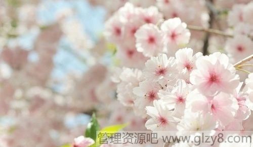 Ҹǵ룬