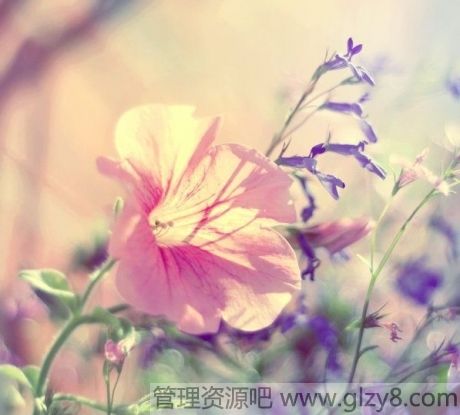 һˣһҸ·