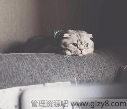 ϷԼ