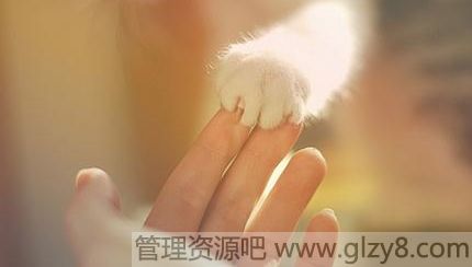 Щ˲䣬ů