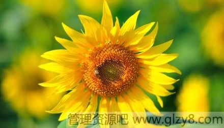 磬