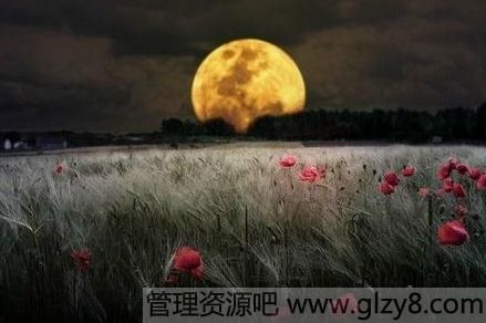 ҹӵмžȺ