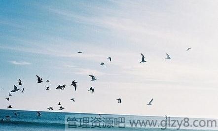 Եֲ˺еĲǲܵ
