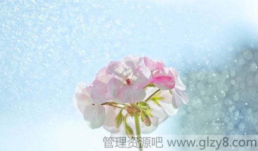Ҫ谮齭Ķ