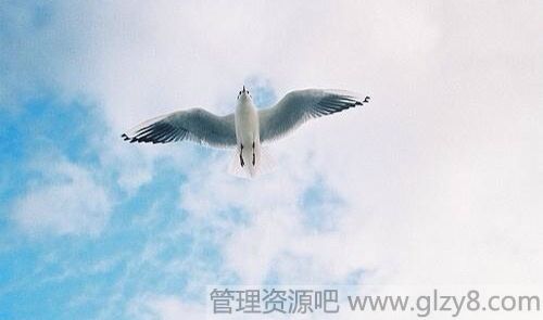Ըһůˣ峺
