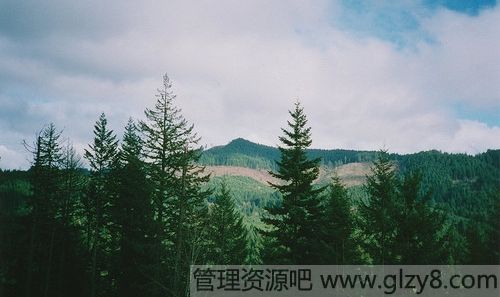 ǵӰȥ