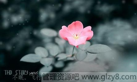 ҪԱǵֻƽ