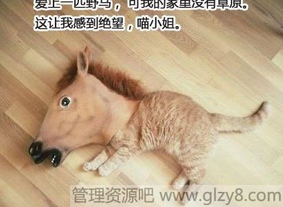 һƥҰҵľĲԭ