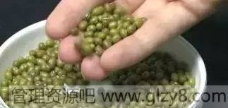 绿豆煮开花只需2分钟怎么做