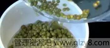 绿豆煮开花只需2分钟怎么做