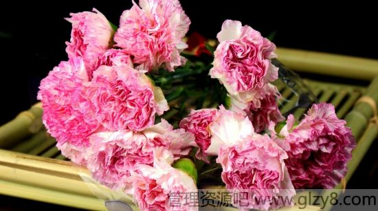 2015教师节送老师什么礼物好