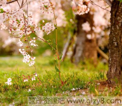 2015教师节送什么礼物给老师最好