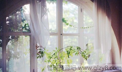 茶叶的10大妙用（推荐）