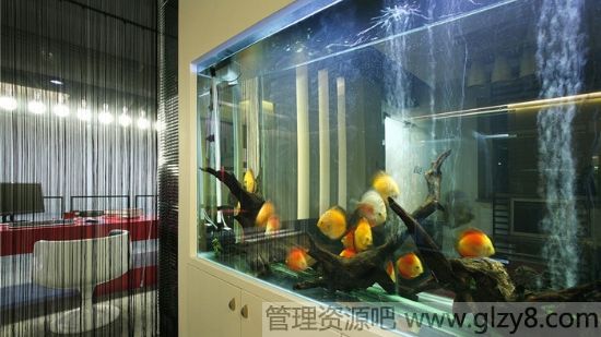 水族箱如何正确安装过滤器