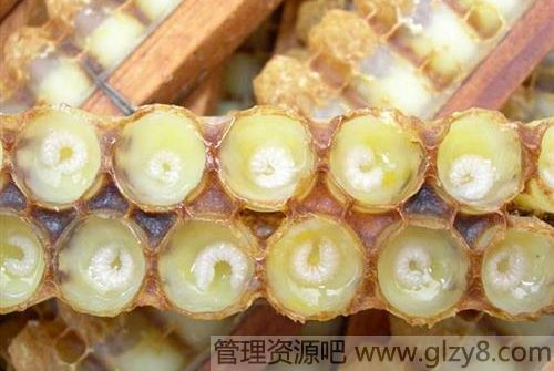 ļ𷽷