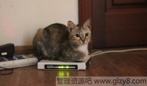 怎么让wifi速度更快