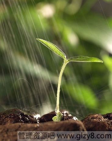 盆花浇水量应怎样掌握？