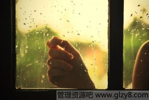 哪些植物怕夏季淋雨日晒？