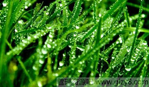 芒种节气话梅雨