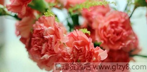 2015母亲节送什么礼物给老婆