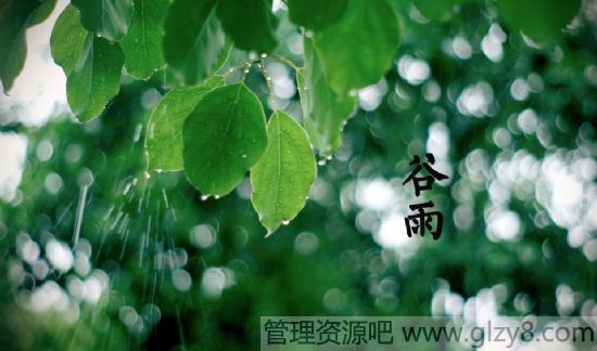 谷雨前后如何预防花粉过敏