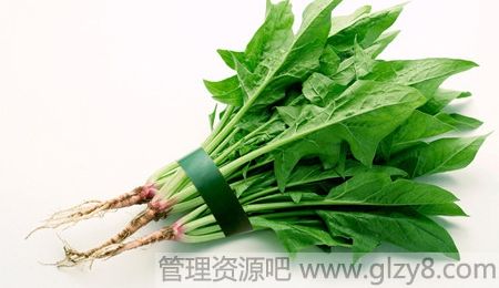 菠菜选折痕少的