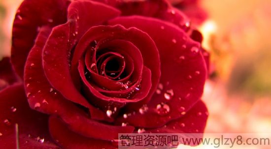 2.14老夫老妻怎么过情人节浪漫