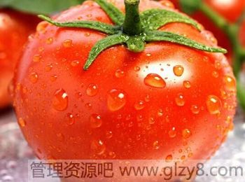 碱性食物有什么好处