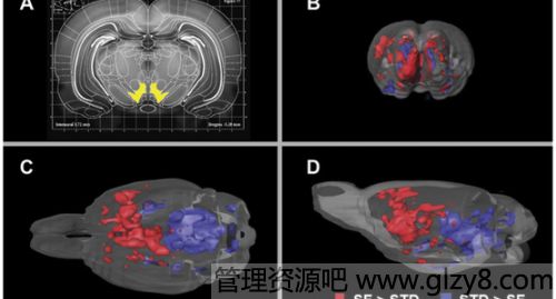 为什么吃薯片让人停不下来？