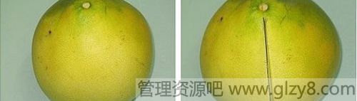 ôͼ