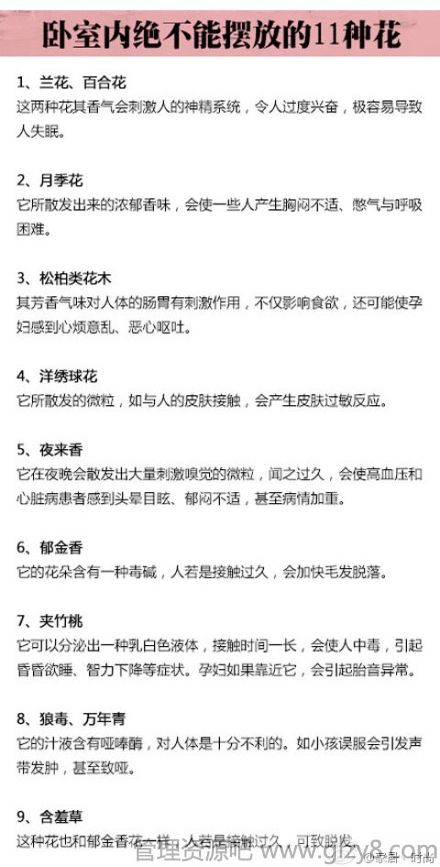 卧室内绝不能摆放的十一种花