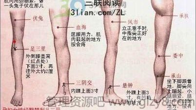 怎么刮痧瘦腿