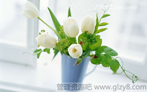 选购鲜花的小妙决