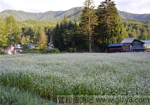 日式客厅装修效果图