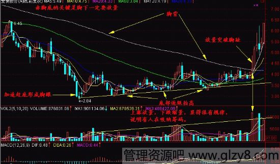 股票新手300天 第八天 一脚踢出大黑马