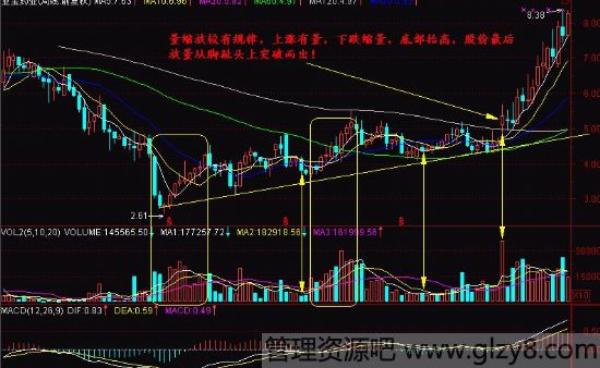 股票新手300天 第八天 一脚踢出大黑马