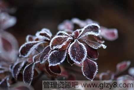 霜降是什么季节