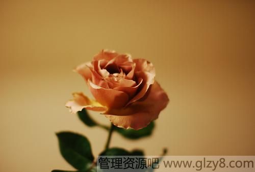 2015年几月几号是七夕情人节