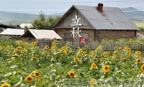 2015年8月8日是什么节日