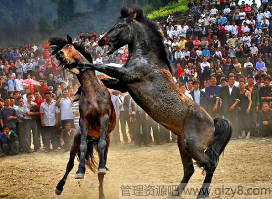 斗马节是哪个民族的节日